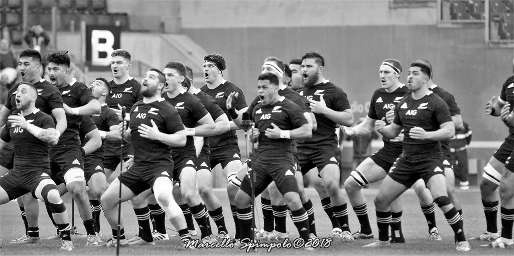 AllBlacks 1