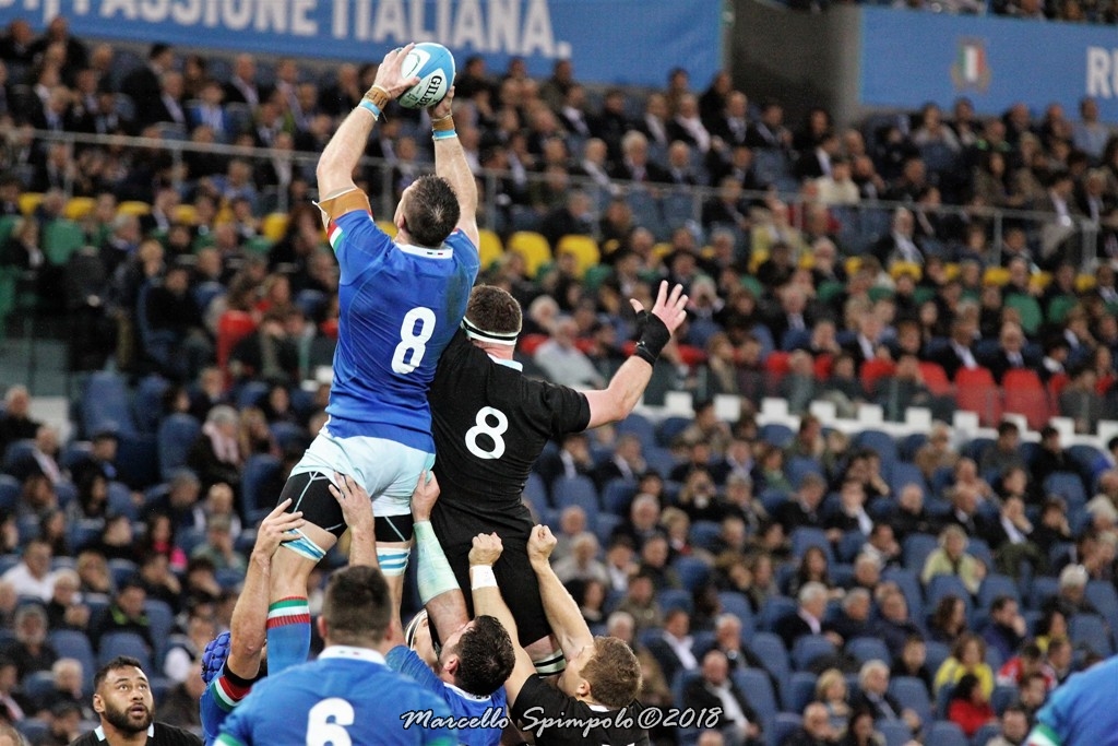 AllBlacks 19