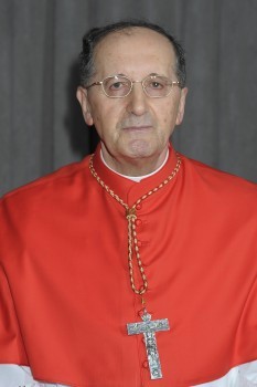 cardinale stella