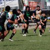 Spareggio L'Aquila Rugby