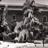 Nevicata '56