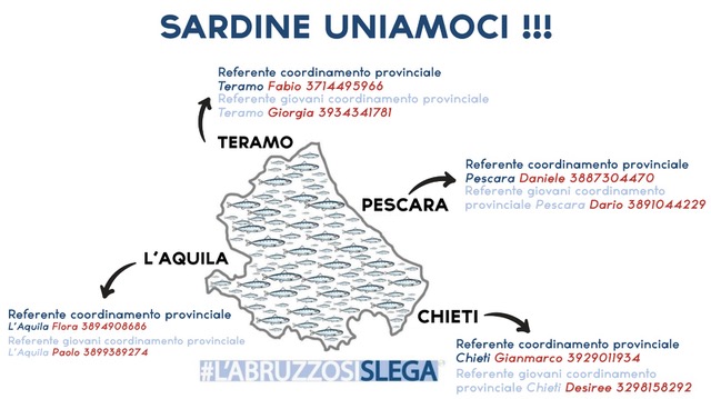 sardine 1